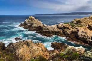 Point Lobos-3374.jpg